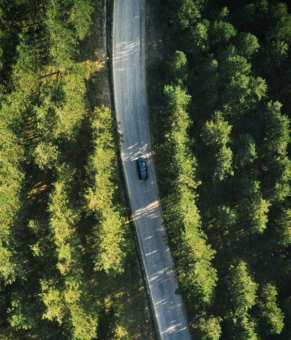 top-view-of-single-gray-car-driving-through-forest-2022-02-02-03-58-51-utc-copy.jpg